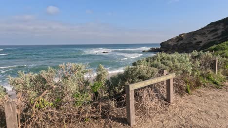 waves crashing against rocks, lush coastal vegetation