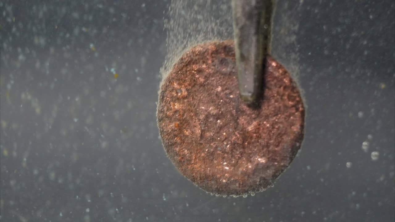 Ancient Roman bronze coin is cleaned in an electrolytic bath, seen in timelapse