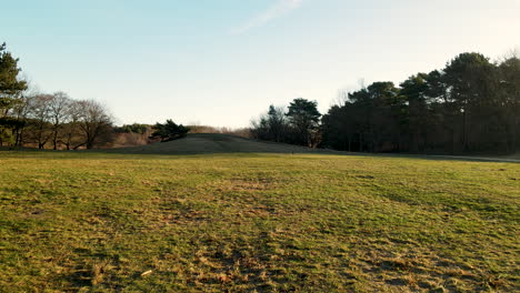 beautifully maintained grass in a park in gdansk, poland - panning wide shot