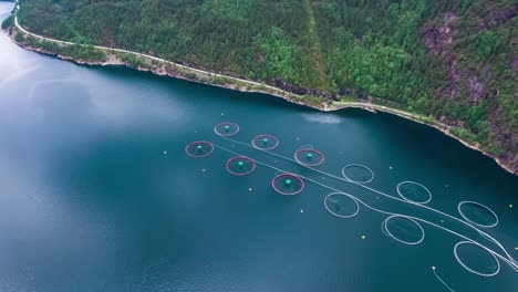 Imágenes-Aéreas-De-Una-Granja-De-Pesca-De-Salmón-En-Noruega