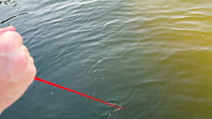 Pulling up a crab trap from water