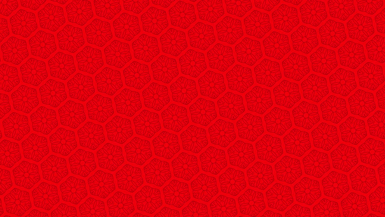 그것은 시계 방향으로 회전하면서 색을 빠르게 바꾸는 그래픽 패턴이며, 시계 방향을 반대로 회전하여 최면과 스트로보스코프 효과를 만니다.