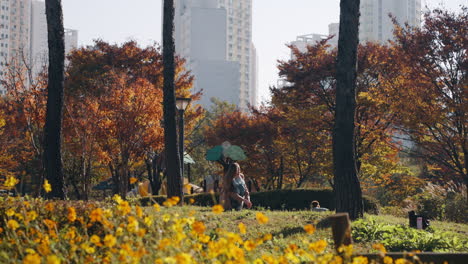 caucasian woman playing with dog in autumn city park