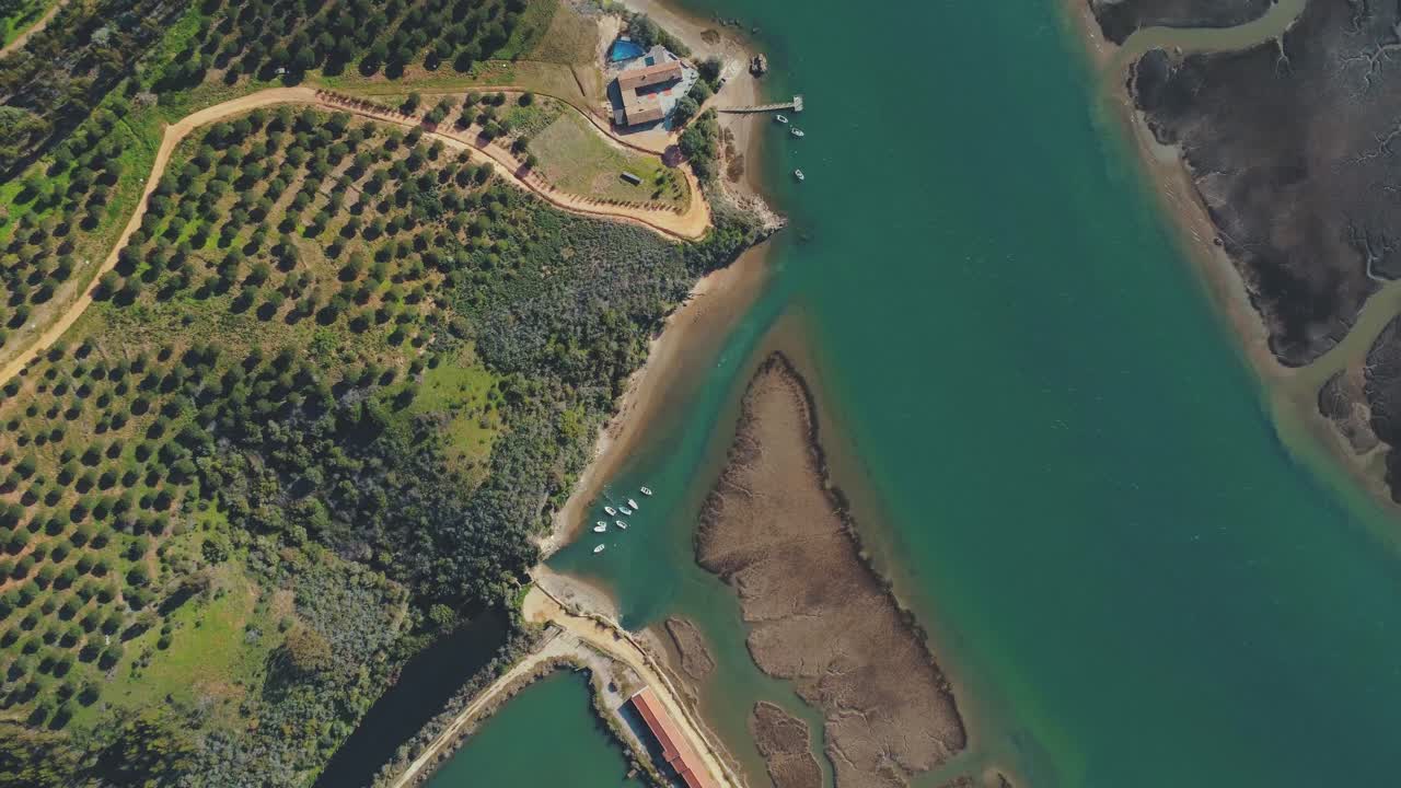 농업 농지에 있는 미라 강 올리브 나무를 내려다보는 하향식 전망