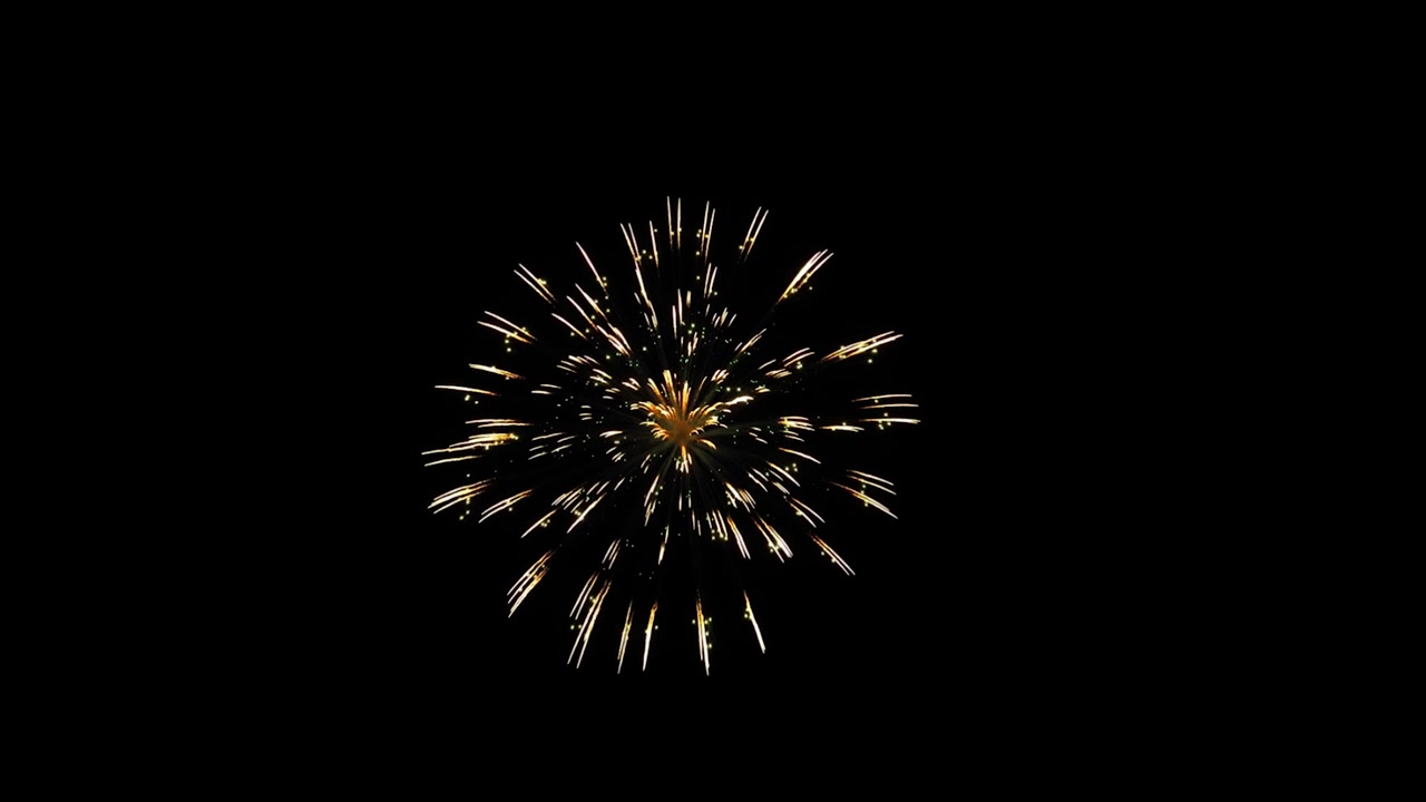 Fireworks display explosions night sky birthday anniversary celebration holiday new year event