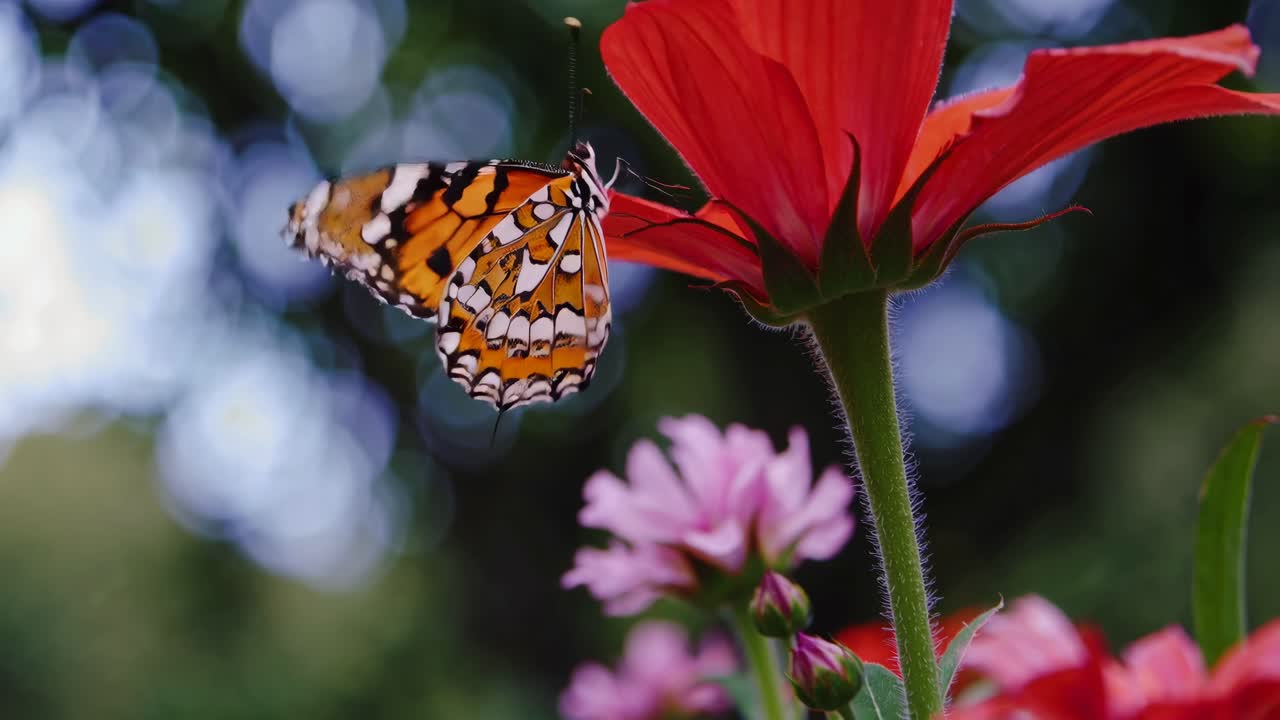 Vivace scena di giardino con una vista dal basso di fiori colorati e un albero maestoso, perfetto