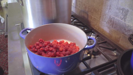 Raspberries-Scraped-from-Colander-to-Blue-Pot,-Medium-Close-Up