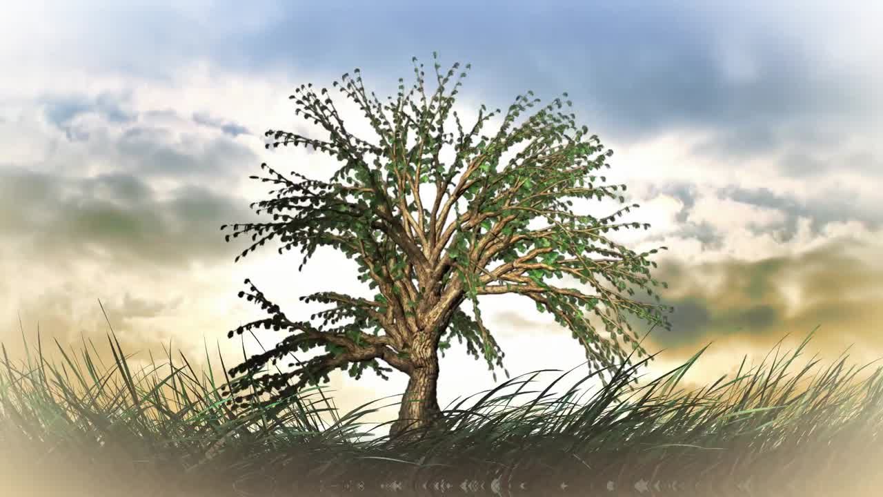 дерево быстро растет