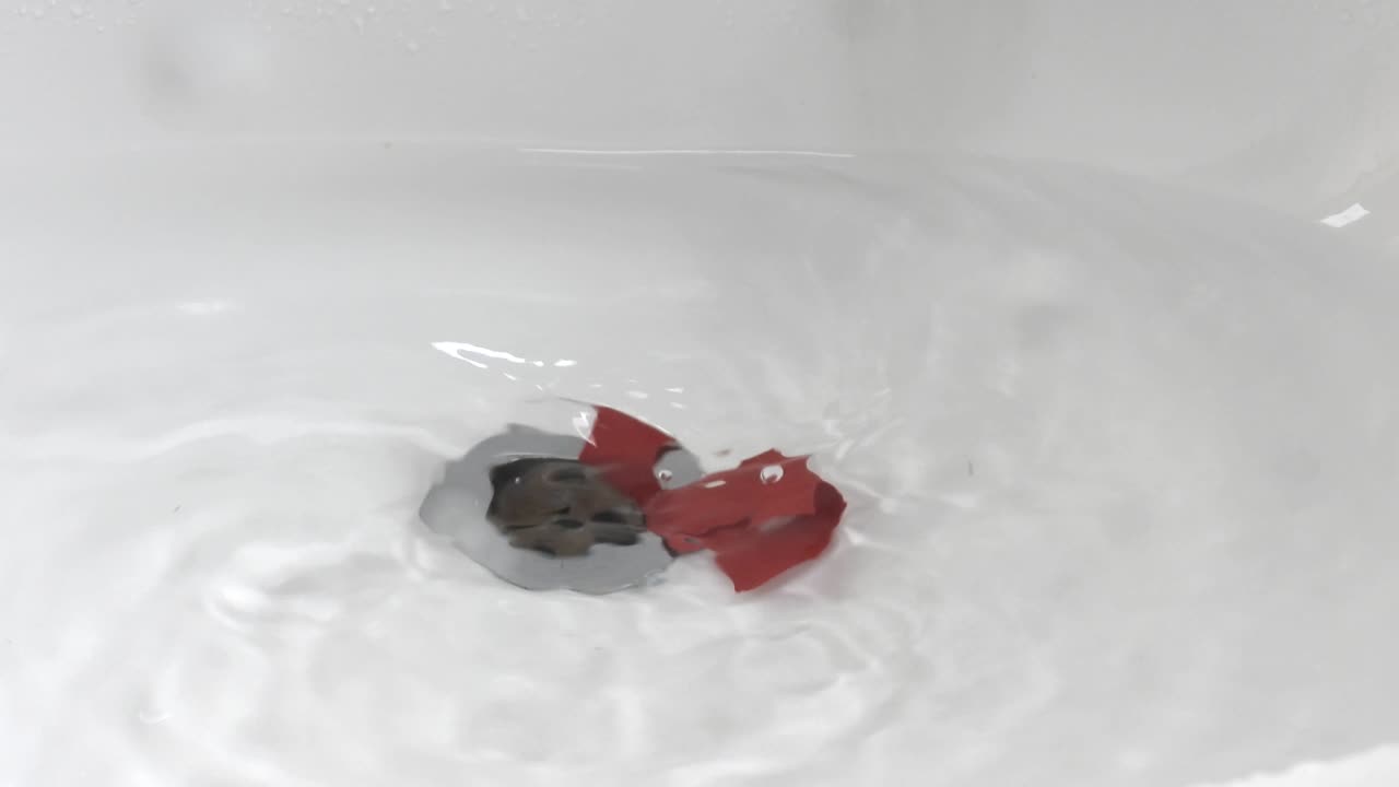 플러그홀 아래로 통화