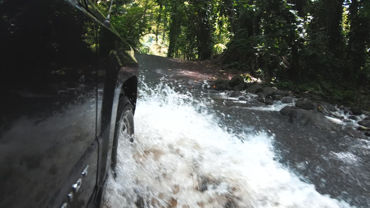 하와이 정글에서 물을 통해 운전하는 자동차의 액션 샷