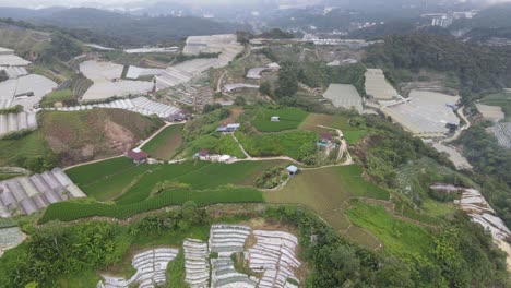 vista general del paisaje del distrito de brinchang dentro del área de cameron highlands de malasia