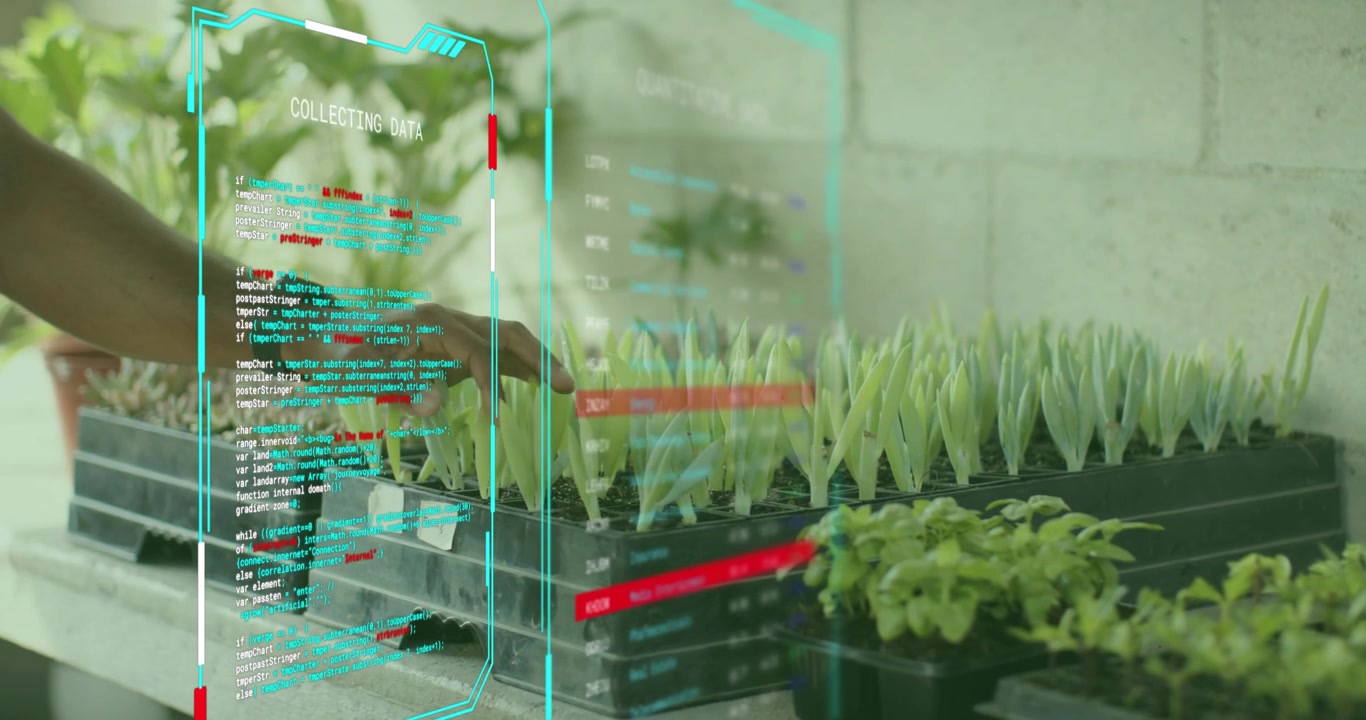 Plant researcher lifting seedlings in agriculture lab with overlay updating moisture pH temp data