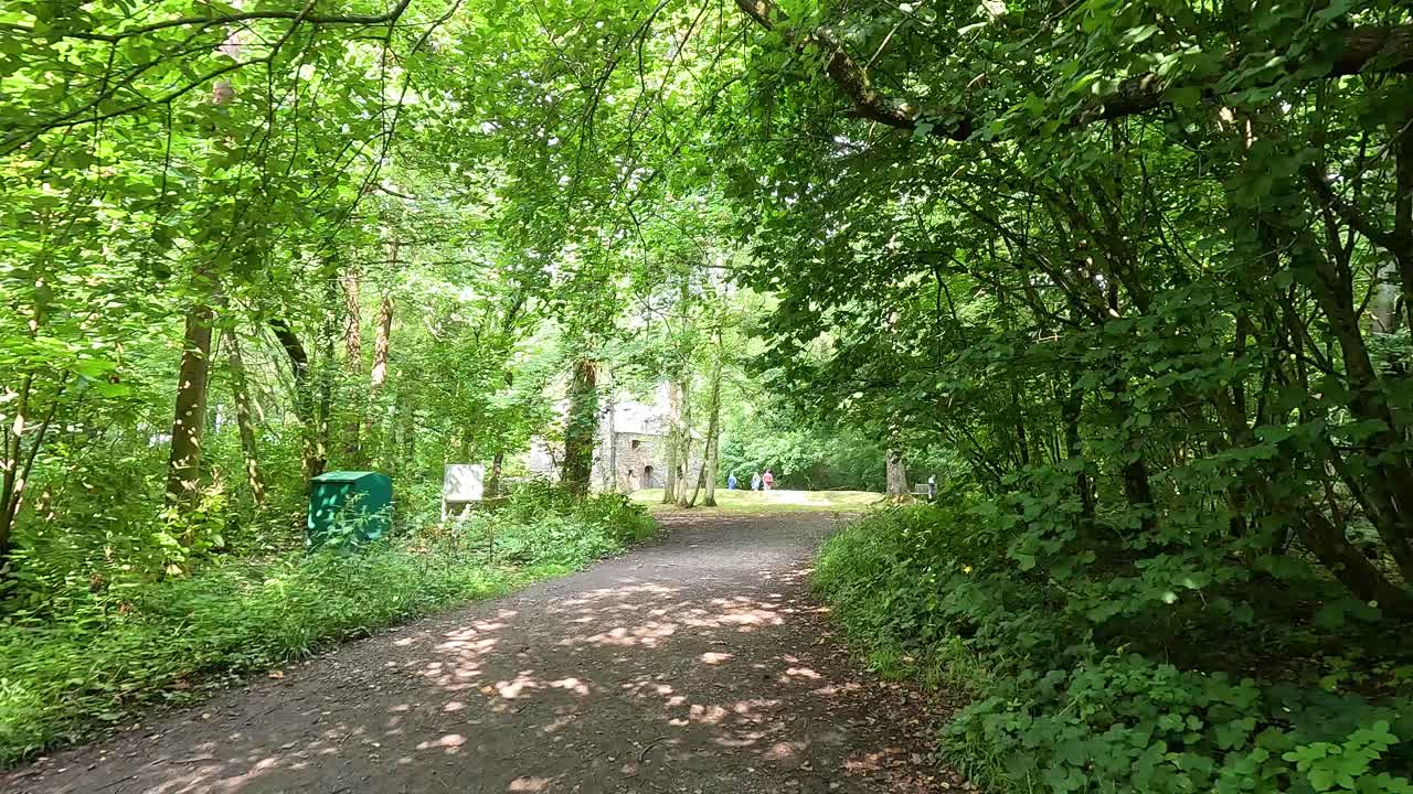 울창 한 숲 을 가로질러 조용 한 산책