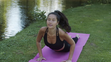 woman doing upward and downward dog yoga exercise in beautiful green park