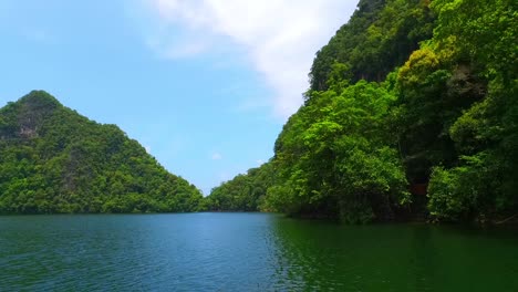 Evergreen-tropical-forest-in-Malaysia