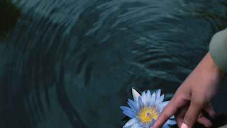 Cerrar-La-Mano-De-Una-Mujer-Tocando-Una-Hermosa-Flor-De-Nenúfar-Flotando-En-Un-Estanque-Disfrutando-De-La-Naturaleza-Mirando-La-Belleza-Natural-En-El-Parque-Del-Jardín