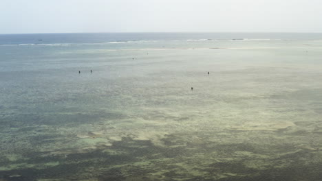 People-standing-in-shallow-sea-waters-at-low-tide,-drone-shot