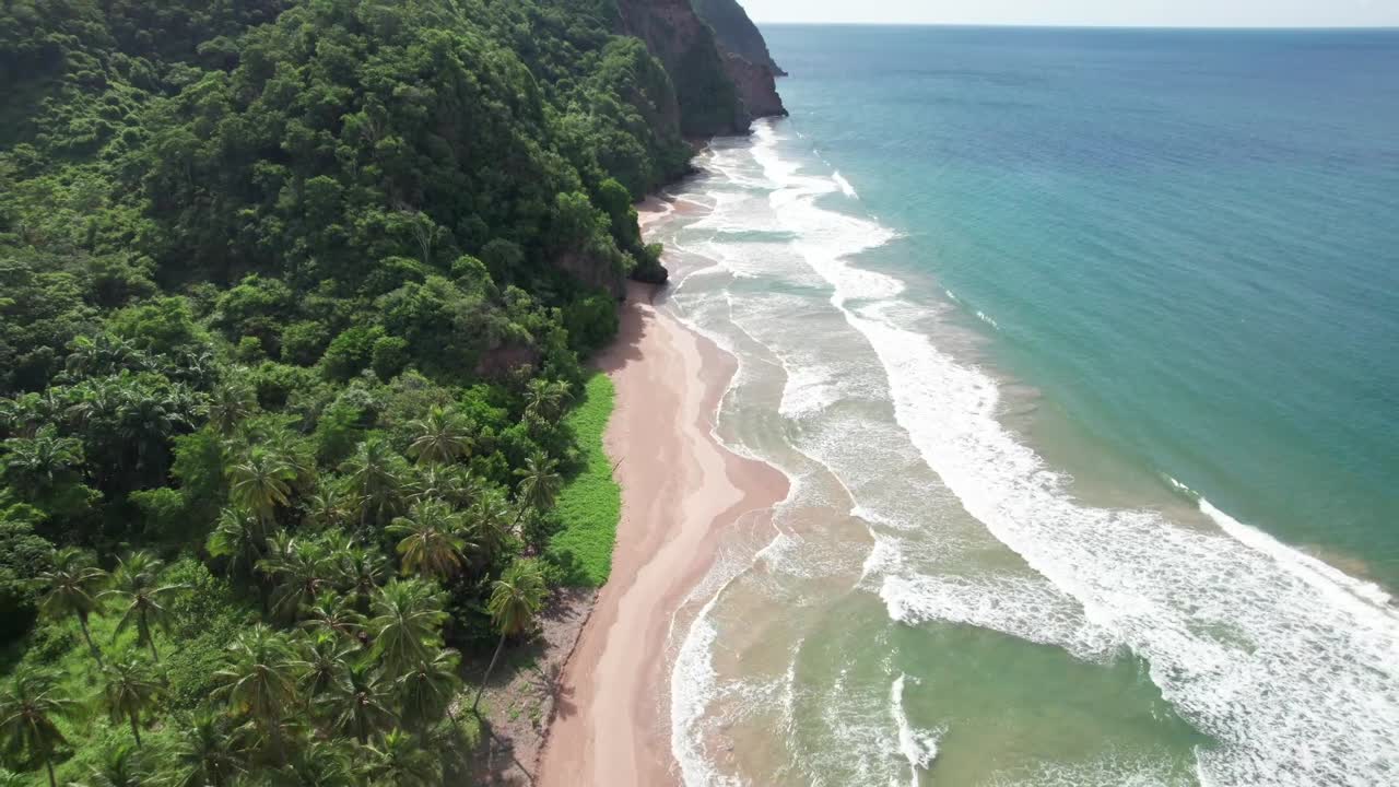 Tropical Beach with Cliffs and Palm Trees