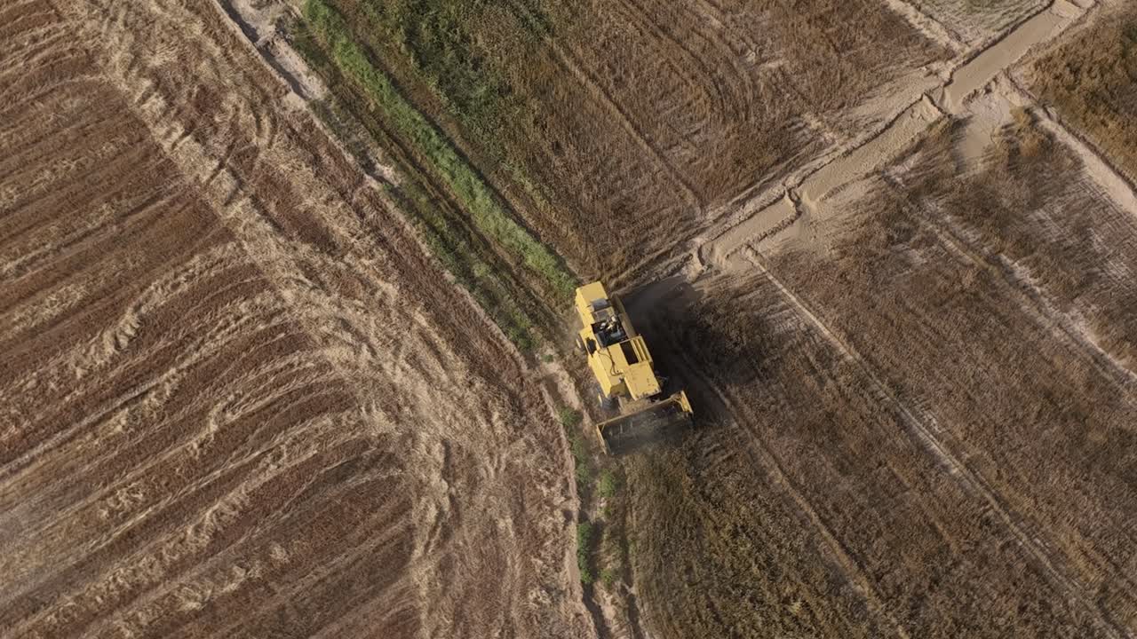 vista aérea de la cosechadora amarilla que trabaja en el campo de punjab en pakistán