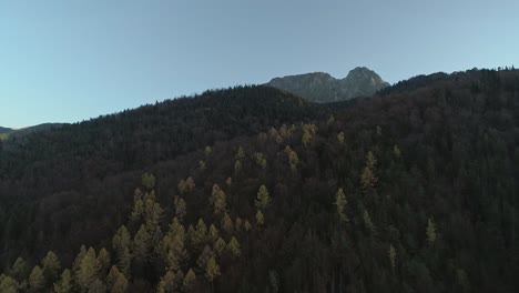 Autumn-season-in-dark-pine-forest-on-mountainside-in-Poland,-aerial