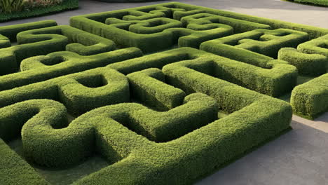 lush green hedge maze garden