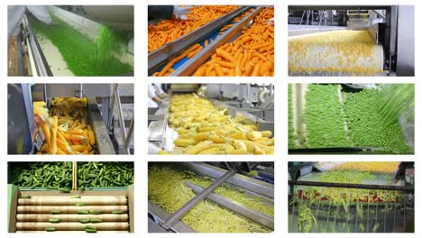 vegetable processing in food industry, multi screen