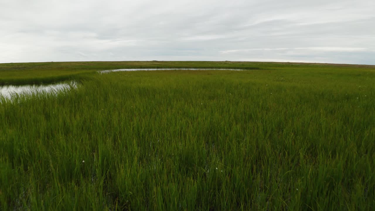 항공 드론 촬영은 풀과 물과 함께 알래스카의 바로우에서 북극 근처의 녹은  ⁇ 드라 영구 얼음 위에서 낮게 날고 있습니다.