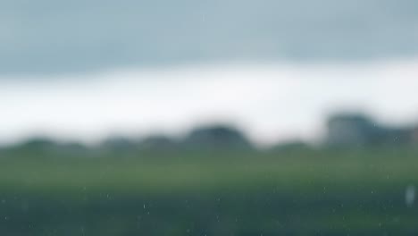 gentle rain falls on blurred field under big gray cloud