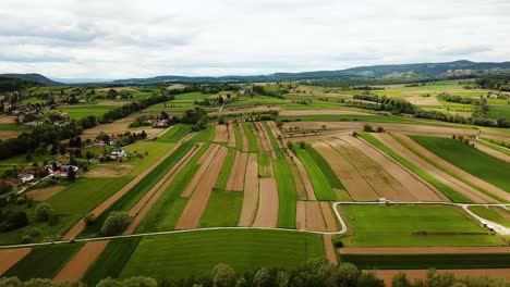 luftlandschaft, gleitende aufnahme einer slowenischen landschaft mit hügeln, häusern und landwirtschaftlichen feldern, bewölkter himmel, slowenien, europa