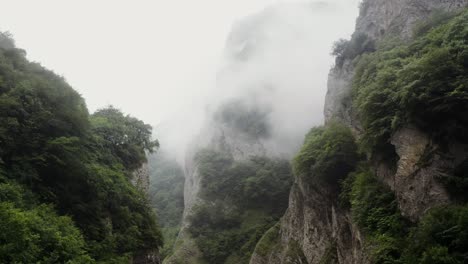 misty mountain valley