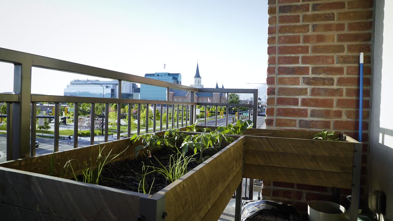 un pequeño jardín en el balcón de un apartamento con pequeños retoños de vegetales que crecen en un cálido día soleado de verano cerca de provo, ut