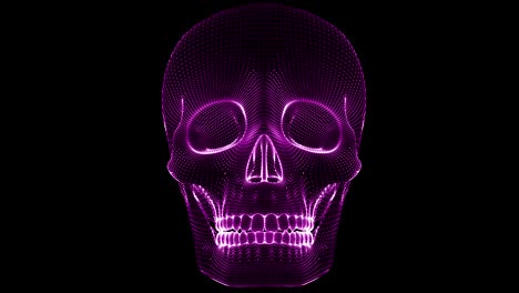 the mesh of the skull. looping footage has 4k resolution.