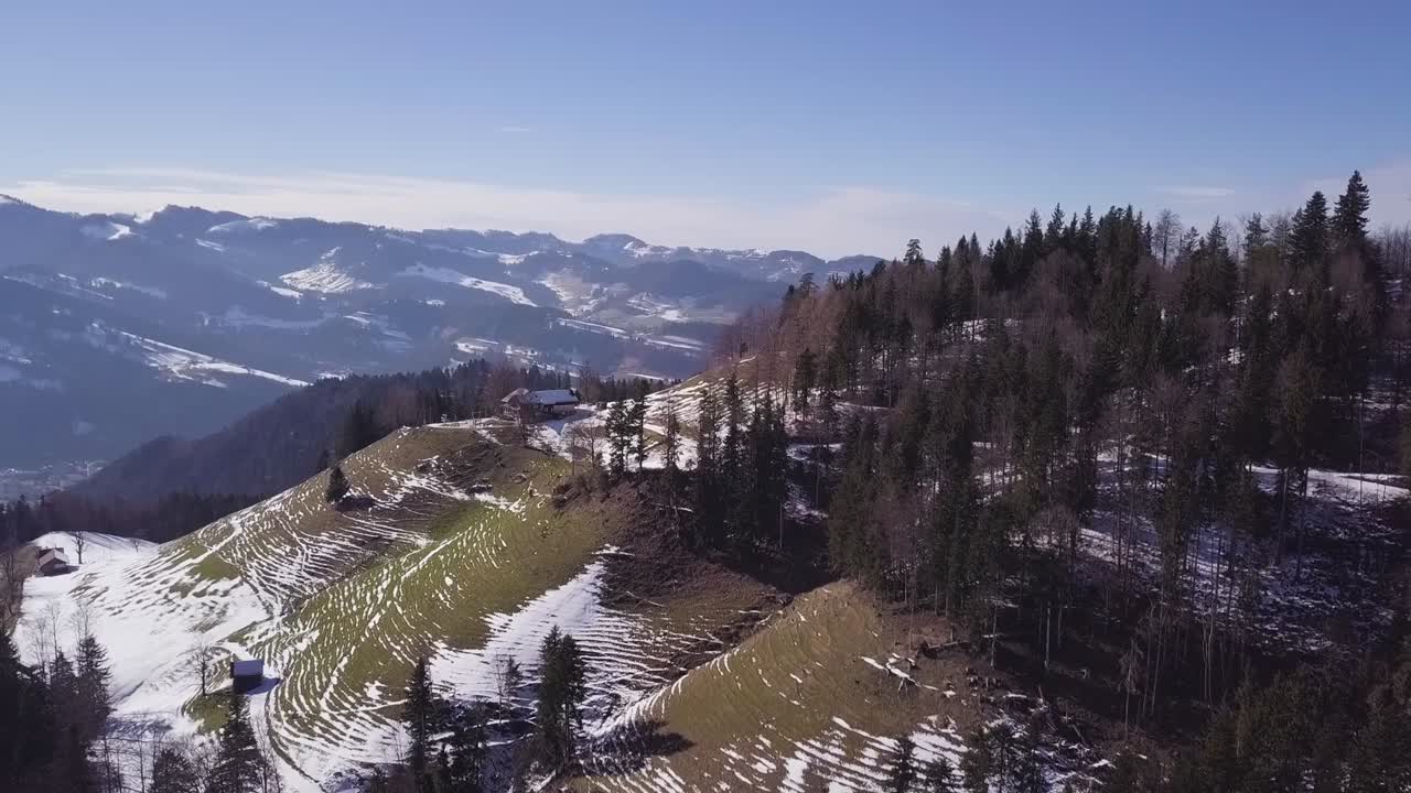 drone vuela alrededor de una colina con árboles y nieve