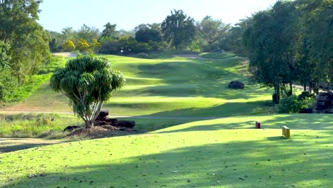 lush green fairway with surrounding trees