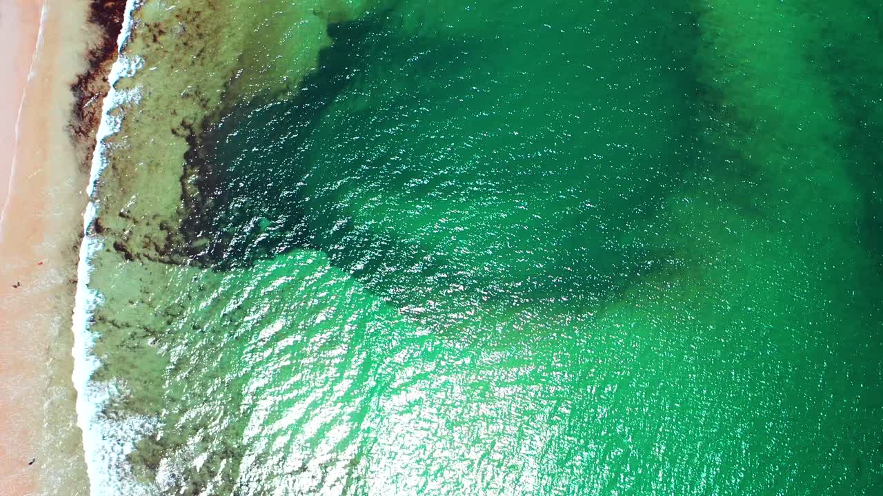 Drone aerial bird’s-eye view looking straight down on crowded Saco, Maine beaches. Families relax on sand near vacation homes as Atlantic Ocean waves crash along scenic New England coastline in summer