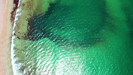 drone aerial bird’s-eye view looking straight down on crowded saco, maine beaches. families relax on sand near vacation homes as atlantic ocean waves crash along scenic new england coastline in summer
