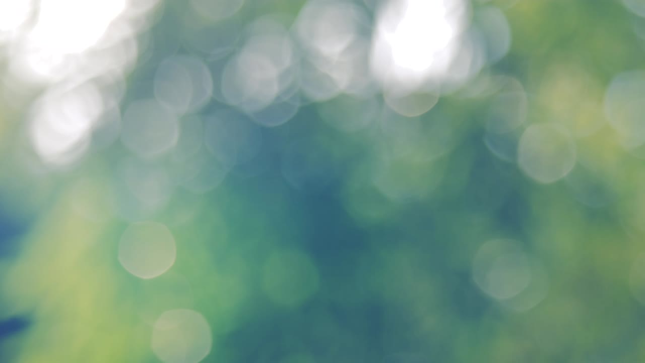 fondo biológico, abstracto follaje borroso luz solar brillante