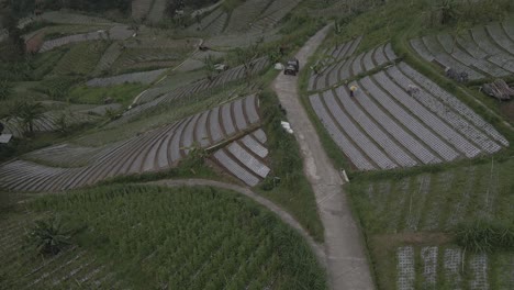 aerial view, jeep tour passing through mountains in vegetable fields in tawangmangu, indonesia