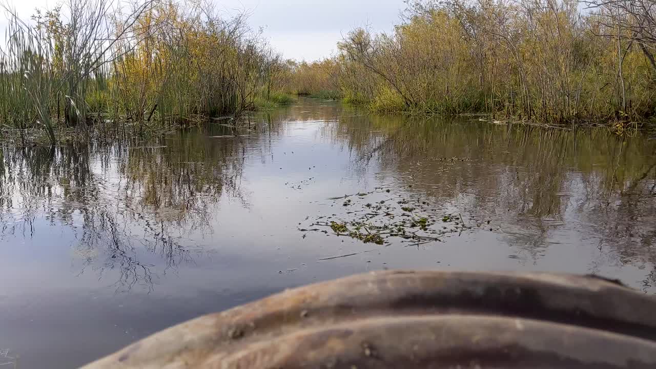 el agua de inundación acumulada en movimiento rápido fluye a través de una alcantarilla después de que se eliminó el bloqueo de un dique de castores