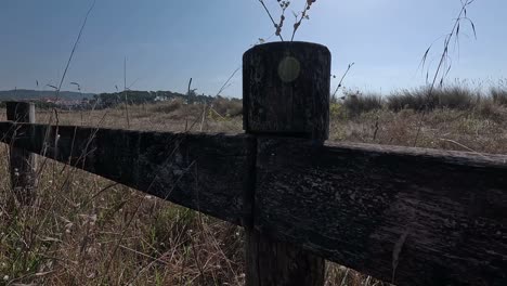 Old-wooden-fence-battered-by-the-climate-of-the-coast-with-dry-vegetation-on-desert-and-sandy-soil-on-a-summer-day-with-sunlight,-shot-traveling-backwards,-close-up