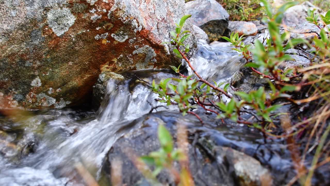 Close up shot of flowing water stream along rocks,stones and plants during sunny day