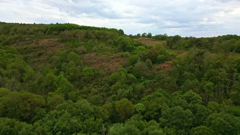 Aerial-view-about-the-forest-of-Val-Sans-Retour,-Paimpont,-Broceliande-forest,-Brittany-in-France