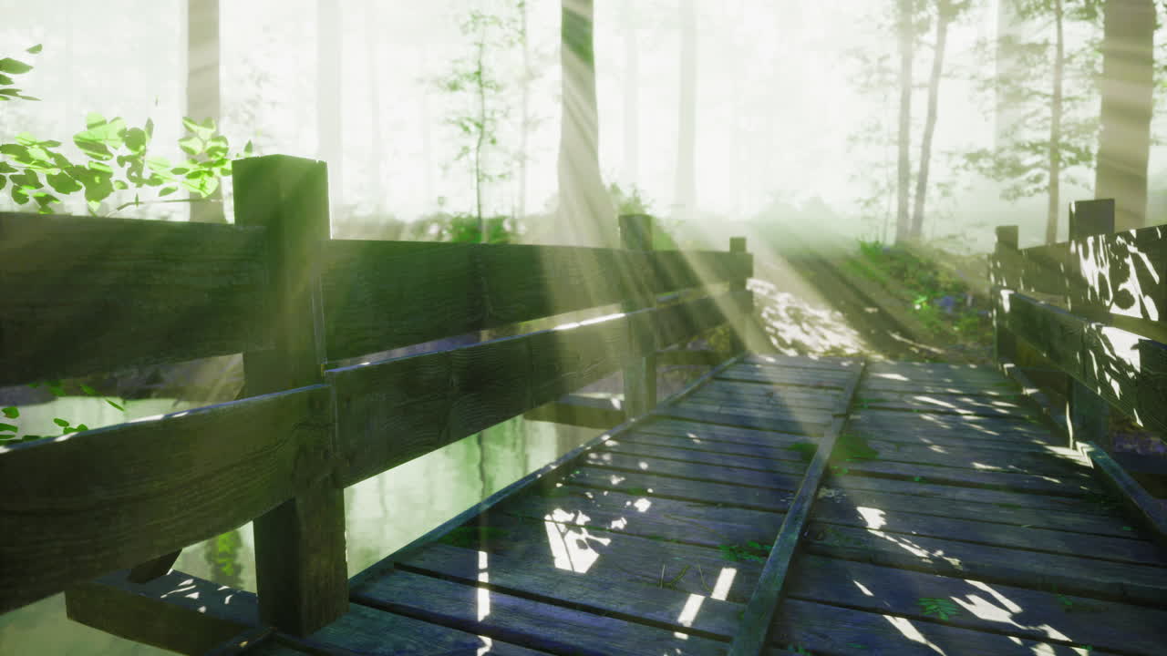 Wooden bridge invites exploration through sunlit forest trails and serenity
