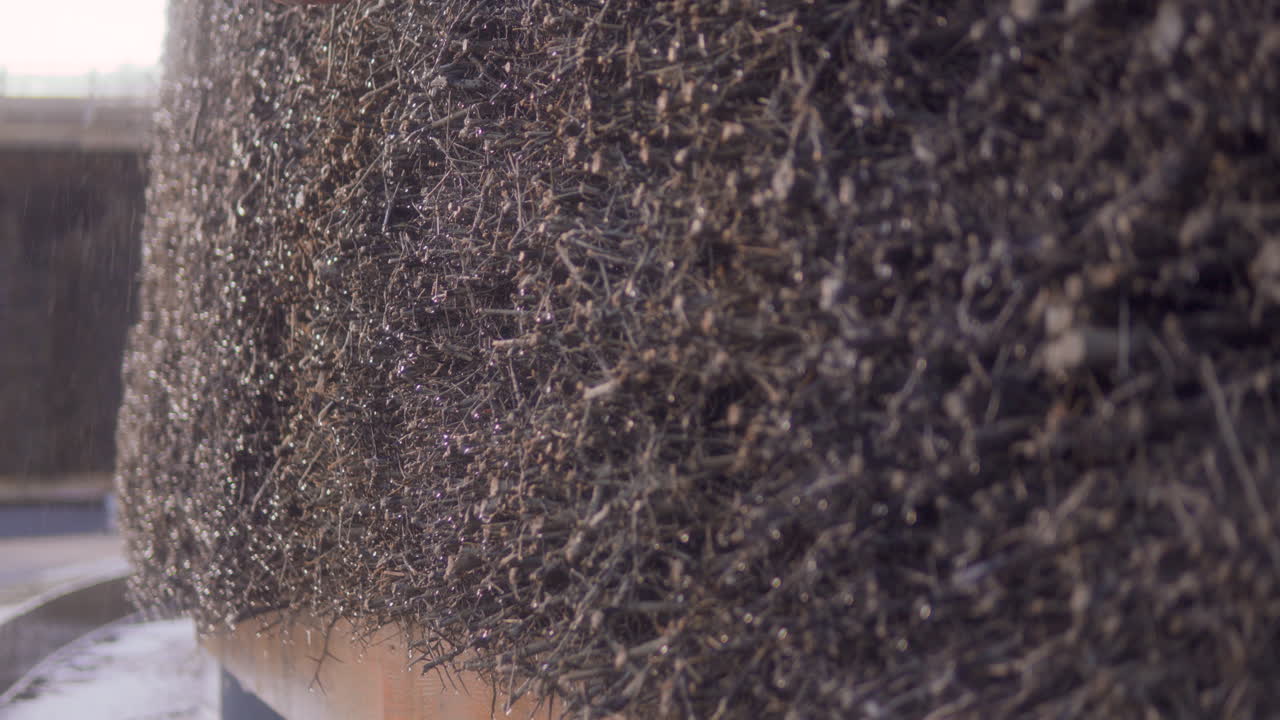 증발에 의한 소금 생산의 졸업 타워 폐쇄, 폴란드