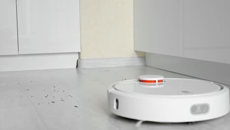 robot vacuum cleaner with brushes removes garbage from floor