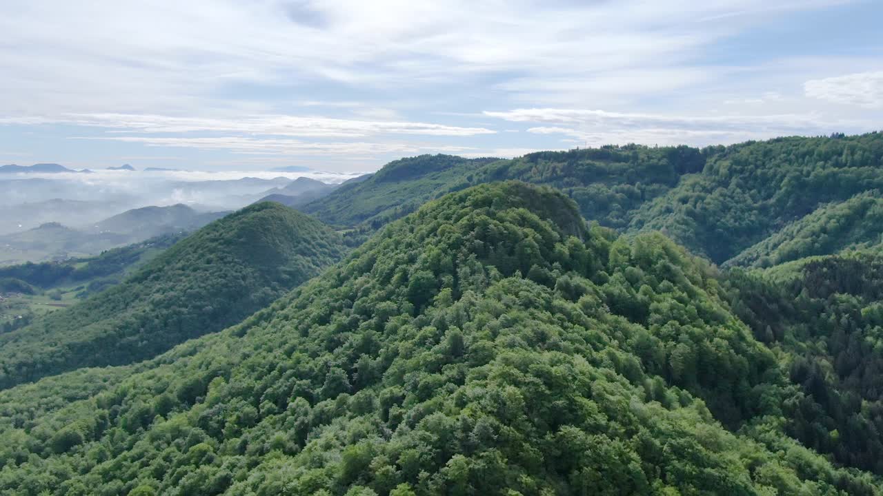 Green mountain range completely covered with trees with clouds hanging low between the hills. Lush green hills completely covered by forest. Aerial shot