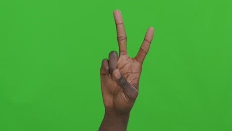 hand gestures on green screen