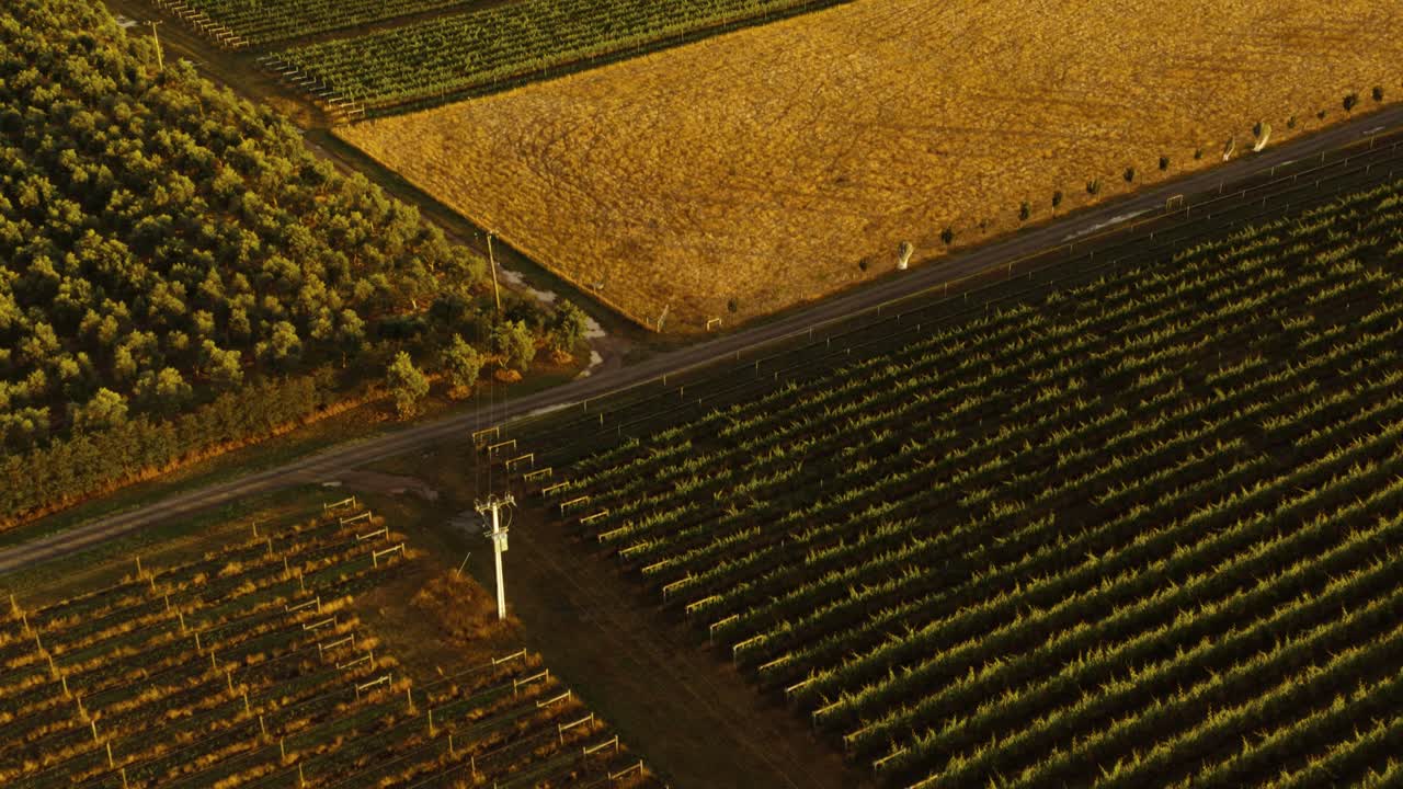 toma aérea de un viñedo durante la hora dorada del atardecer en waipara, nueva zelanda