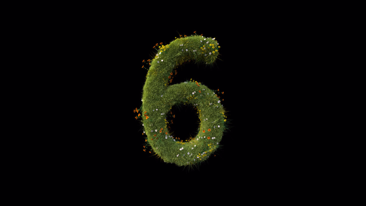Numero Sei Animato Che Si Forma con Erba e Fiori Sbocciati
