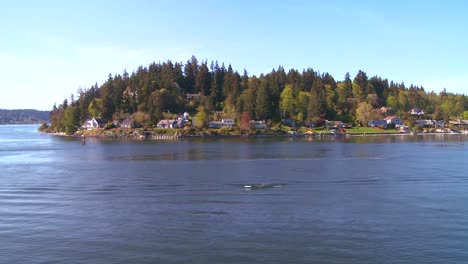 shot of bainbridge island washington from the seattle ferry boat